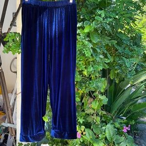 Holiday velvet pants in super royal blue! trendy boutique designer W ATE R